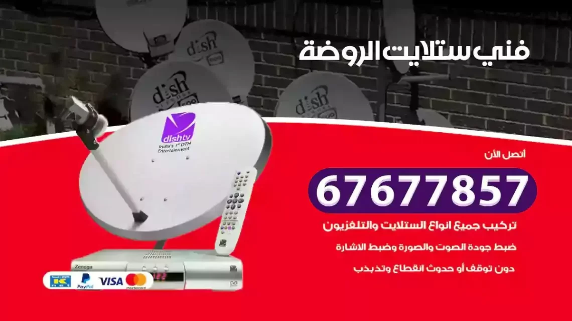 فني ستلايت هندي الروضة