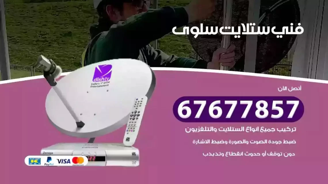 فني ستلايت هندي سلوى