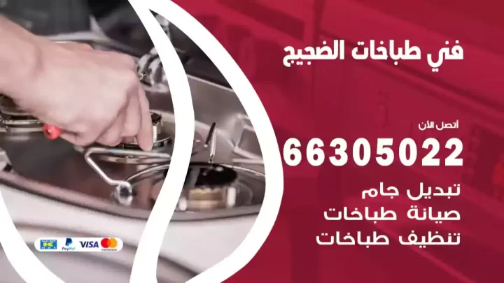 فني طباخات الضجيج
