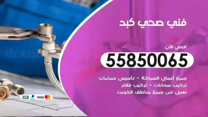 فني سباك صحي كبد